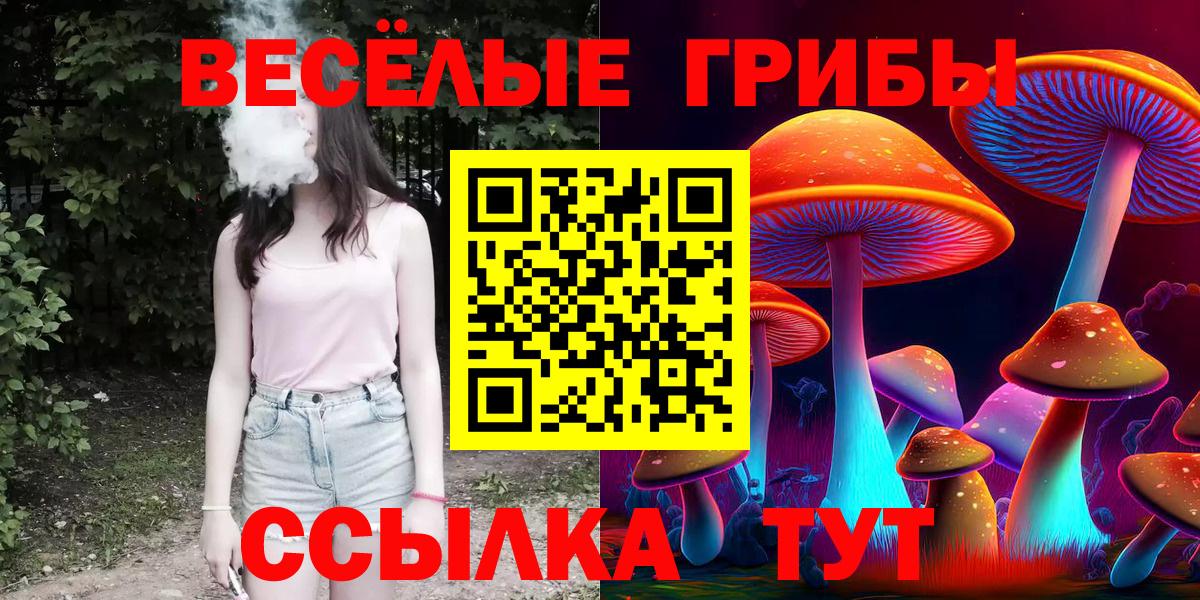 Псилоцибиновые грибы Cubensis  Вход с VPN  Галлюциногенные грибы мицелий  Владикавказ 